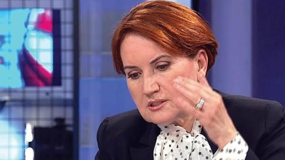 Meral Akşener'i kızdıracak benzetme