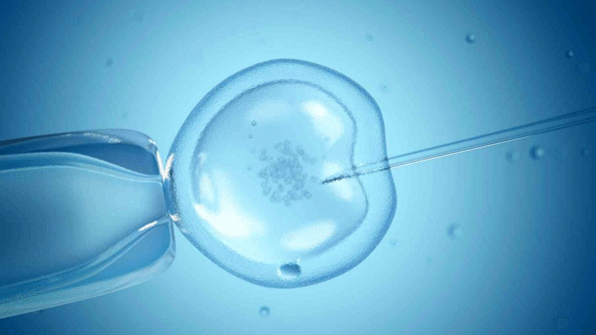 Tüp bebek tedavisi öncesinde nelere dikkat edilmeli?