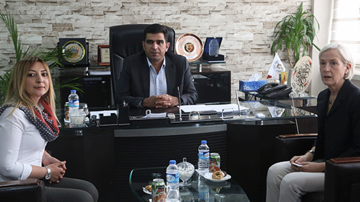 Cizre'ye ABD'li misafir