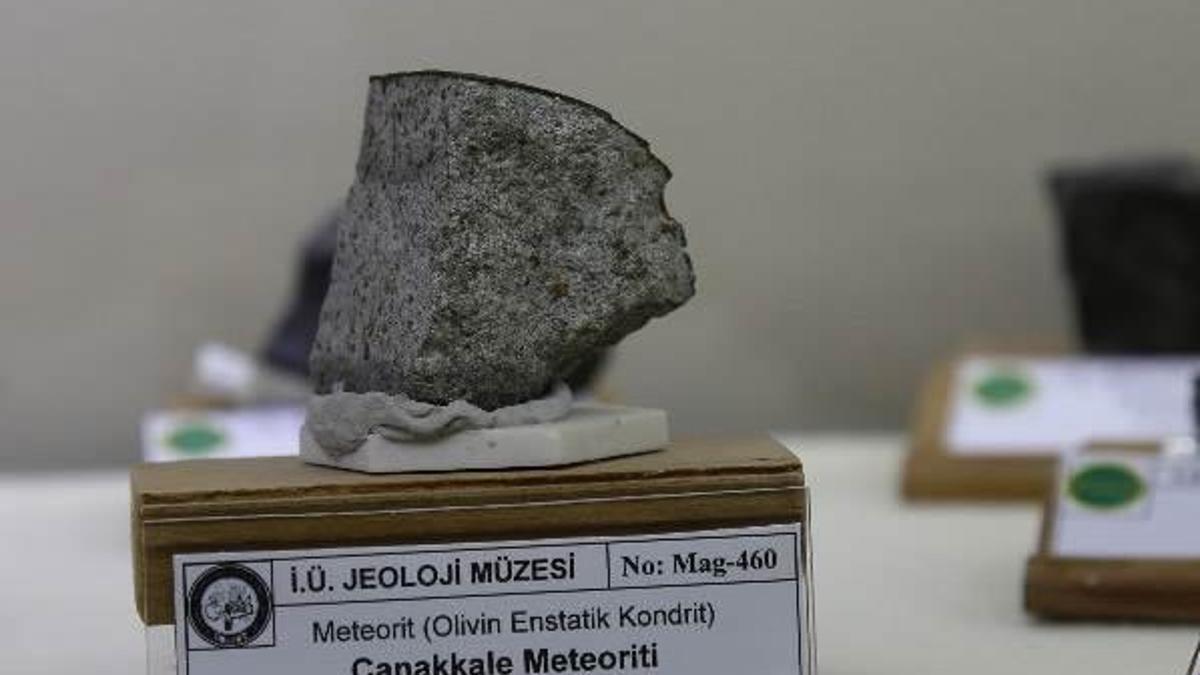 Meteorda yaşam izi bulundu