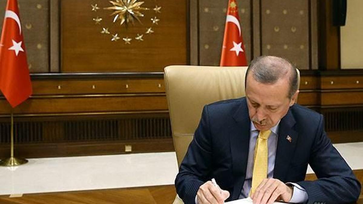 Erdoğan'ın planı ne?