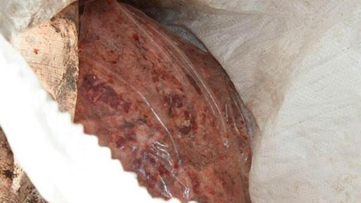 Edirne'de 875 kilogram kaçak et ele geçirildi