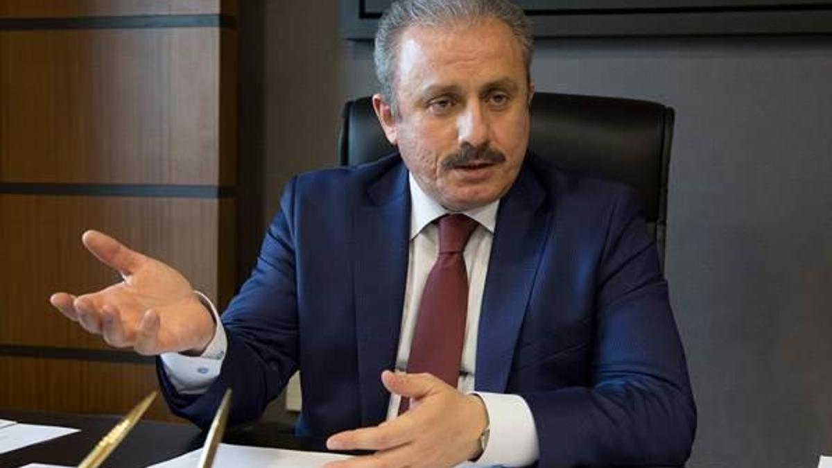 Mustafa Şentop: Başkanlık önerisi AK Parti'den önce başladı