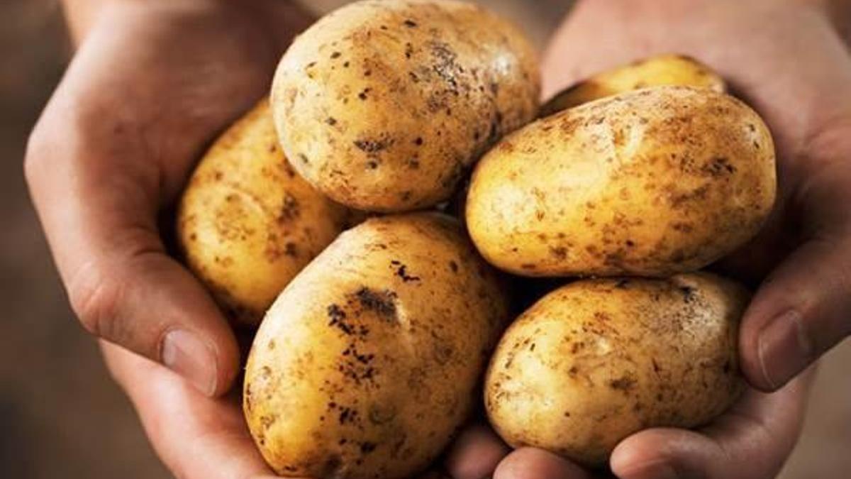 Patates fiyatları dibi gördü