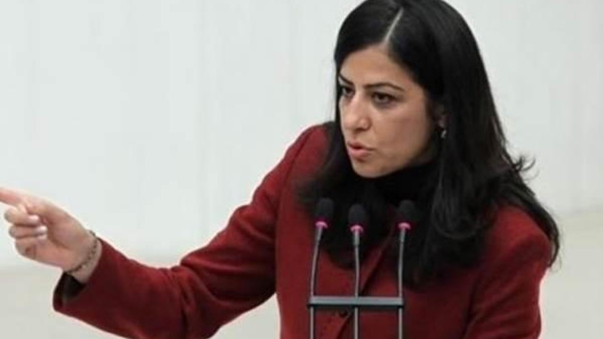 Ayla Akat Ata hakkında hapis istemi