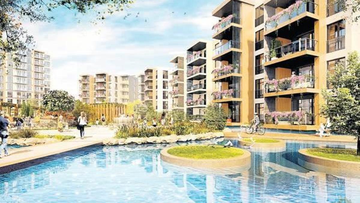 lavanta tozu ile saçlarınıza tekrar kavuşun