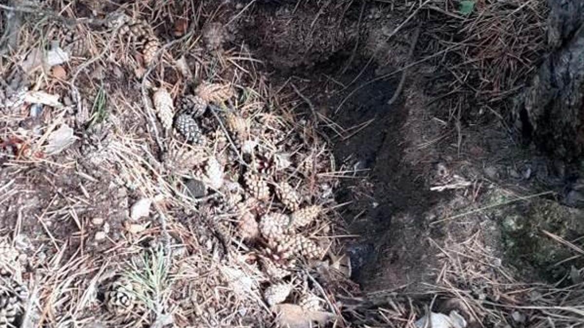 ’Topuk kanı’ verilmeyince, bebek cinayeti ortaya çıktı
