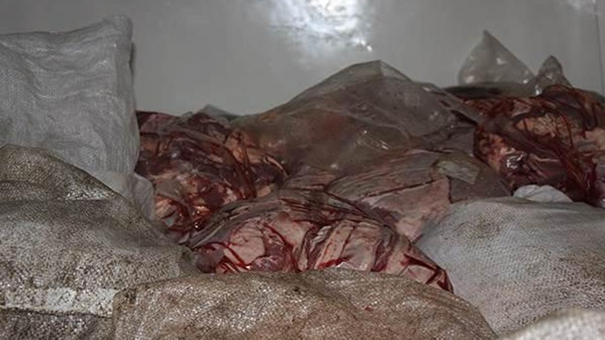 Edirne'de 2 ton 700 kilogram kaçak et ele geçirildi