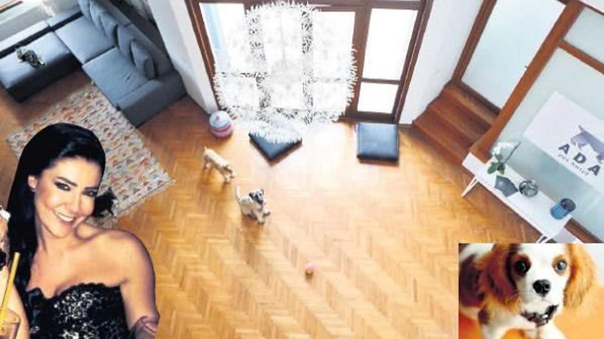 Köpek otelinde köpeğe şiddet!