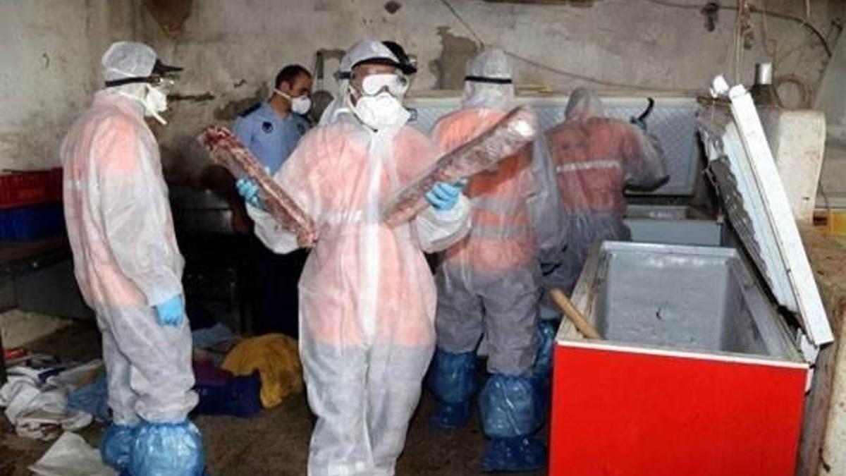 Yakalanan 5 ton kaçak domuz eti imha edildi