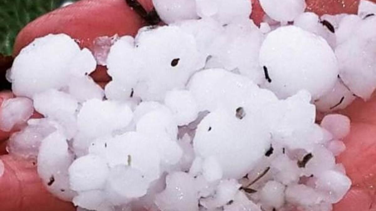Sakarya’da ceviz büyüklüğünde dolu yağdı