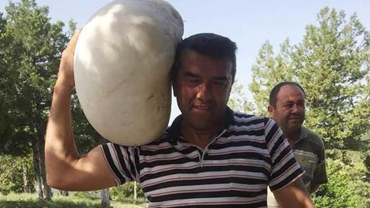 Denizli'deki dev mantar şaşırttı
