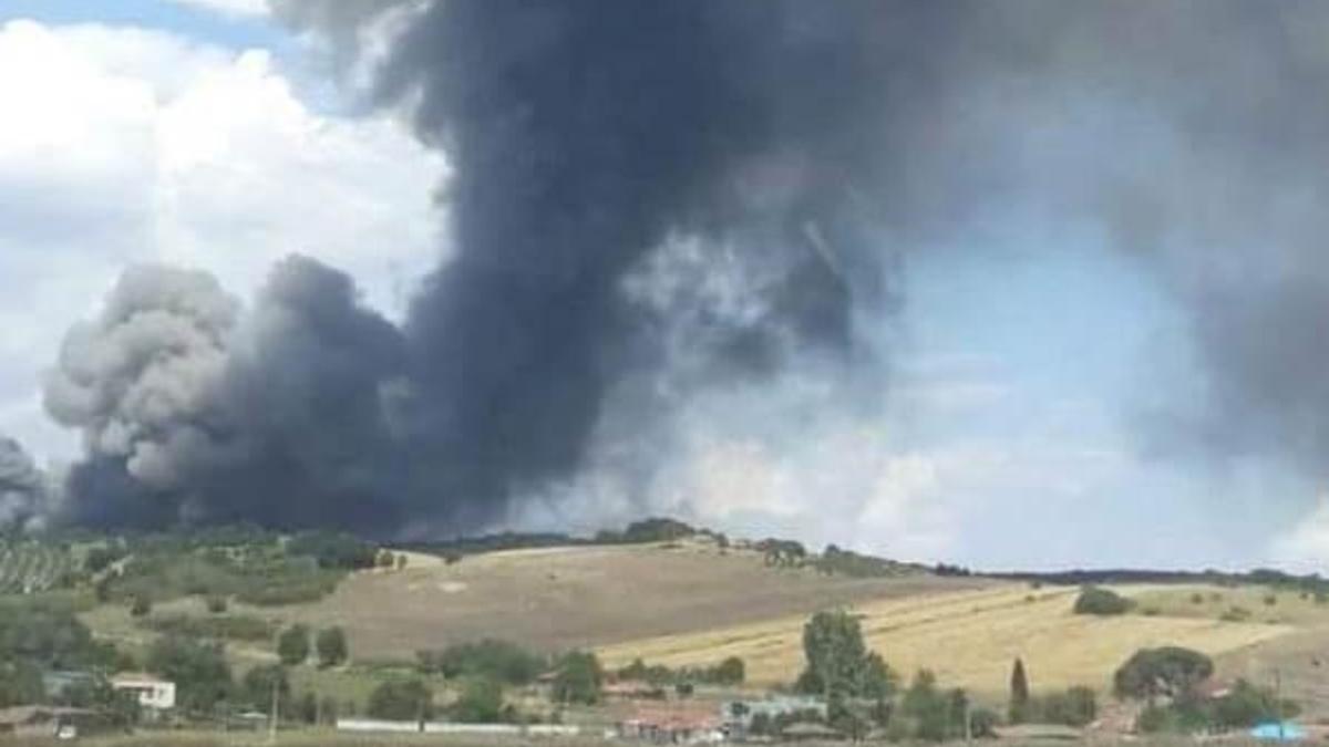Balıkesir'de yumurta üretim tesisinde yangın