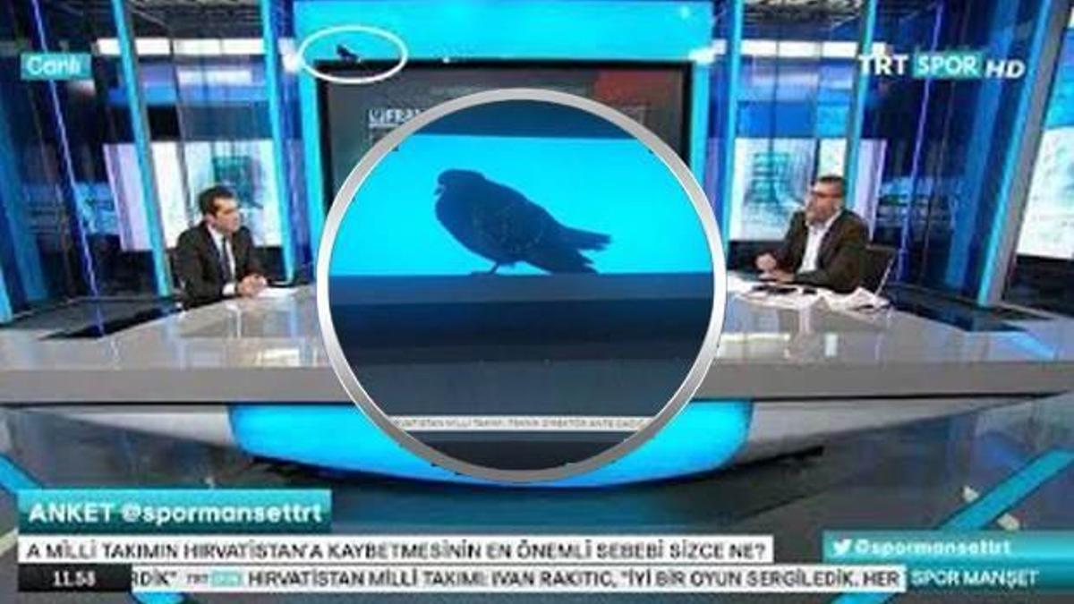 TRT'ye talih kuşu kondu!