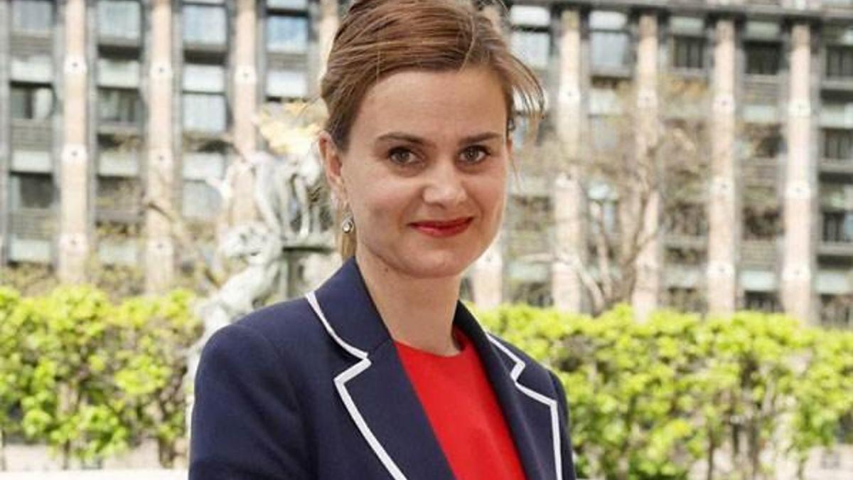 Vekile saldırı AB karşıtlarına yaradı