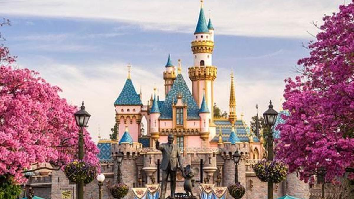 Disney’in büyülü dünyası