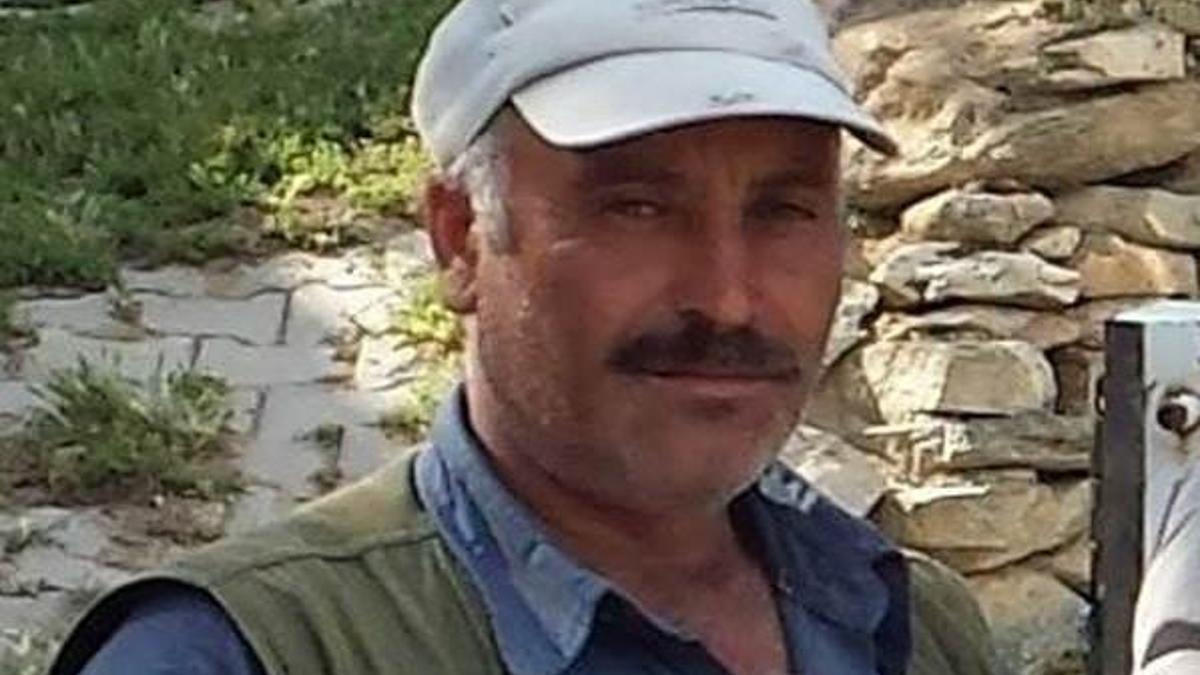 Arı sokması sonrası hayatını kaybetti