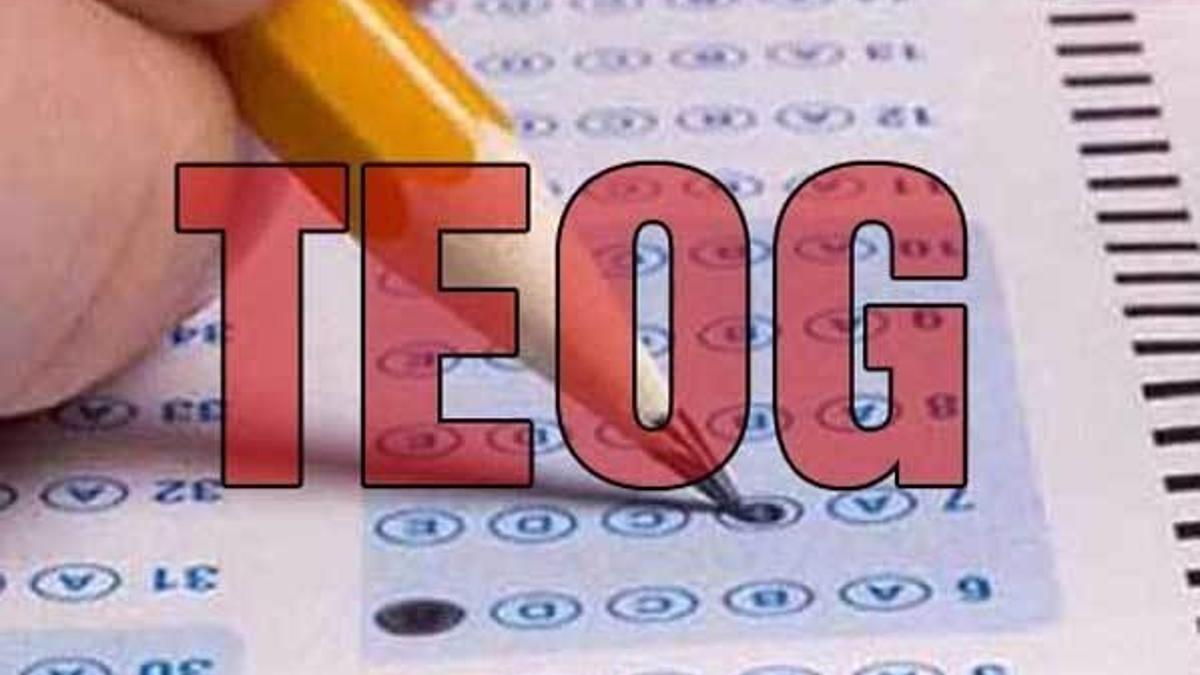 TEOG YEP sonuçları MEB tarafından açıklandı sonuçlar için Tıkla - Öğren