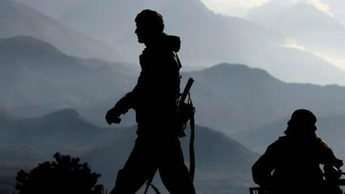 Hakkari'de bir PKK'lı teslim oldu