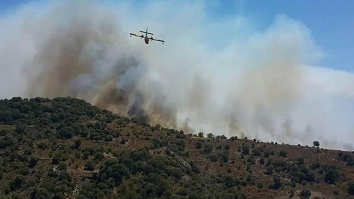 Bodrum'da makilik alanda yangın