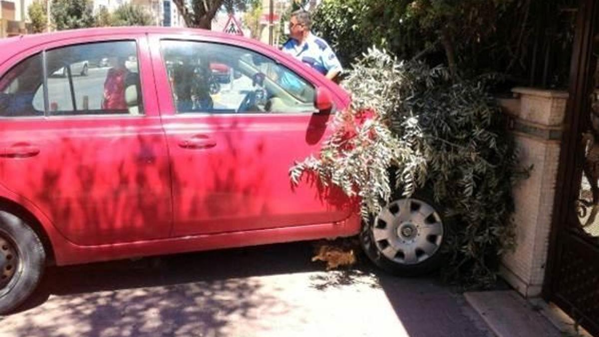 Aracıyla belediye başkanının evine çarptı