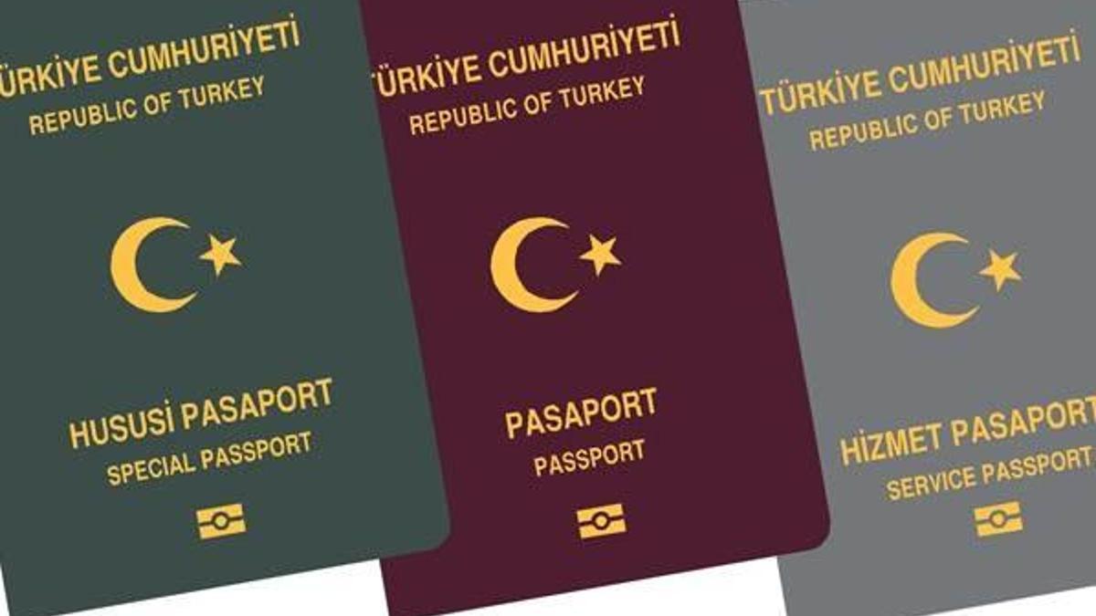 Gri ve yeşil pasaporta inceleme
