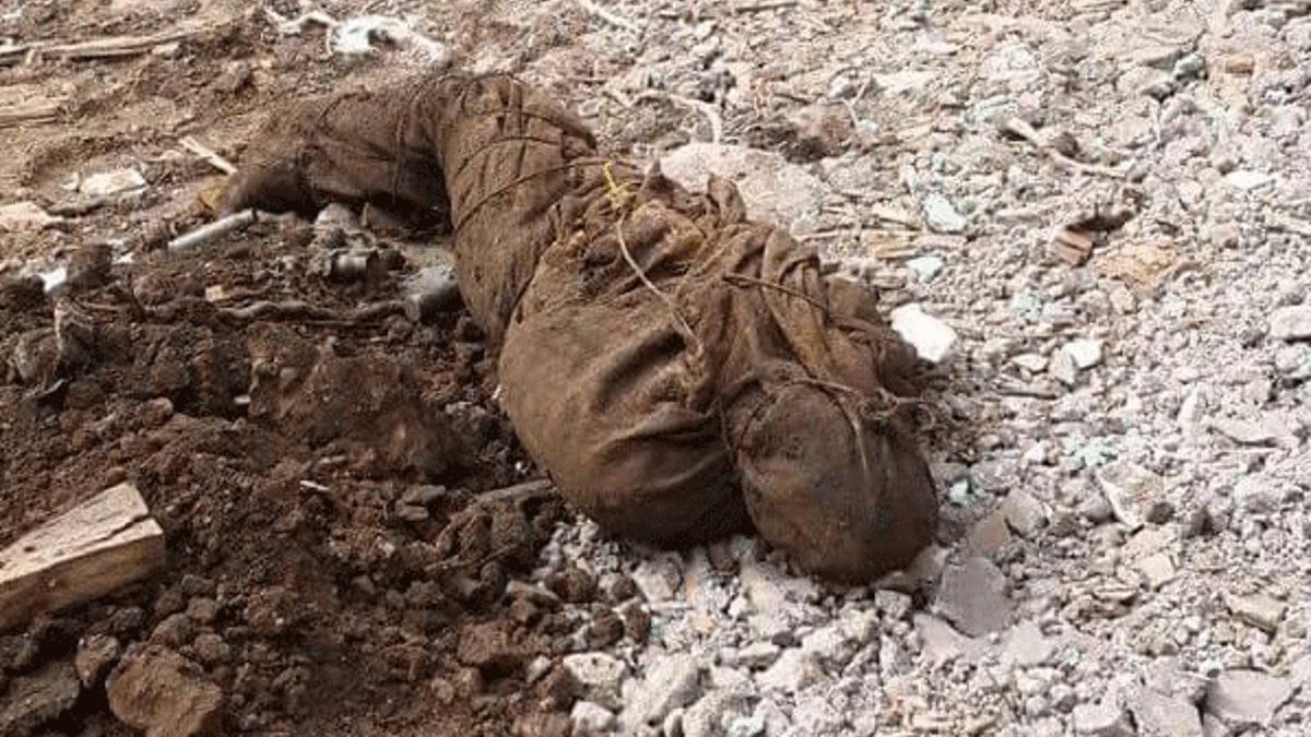 Nusaybin’de 3 terörist cesedi bulundu