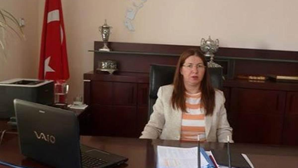 Tutuklanan vali: ‘Pasaportun arasında kalmış’