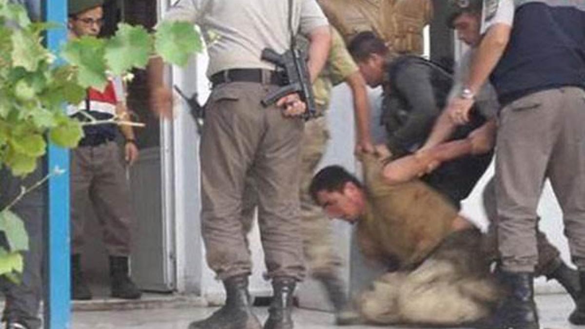 Küp şeker, erik ve mısır yiyerek beslenmişler