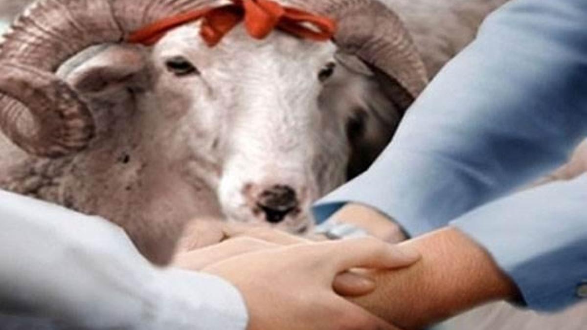 Kurban Bayramı ne zaman başlıyor? Kaç gün sürüyor?
