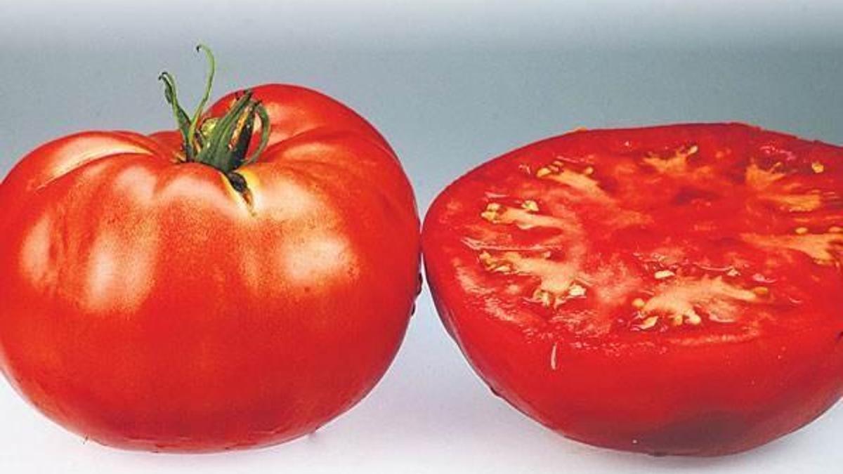 Balıkesir'den 3 kıtaya kurutulmuş domates ihracatı