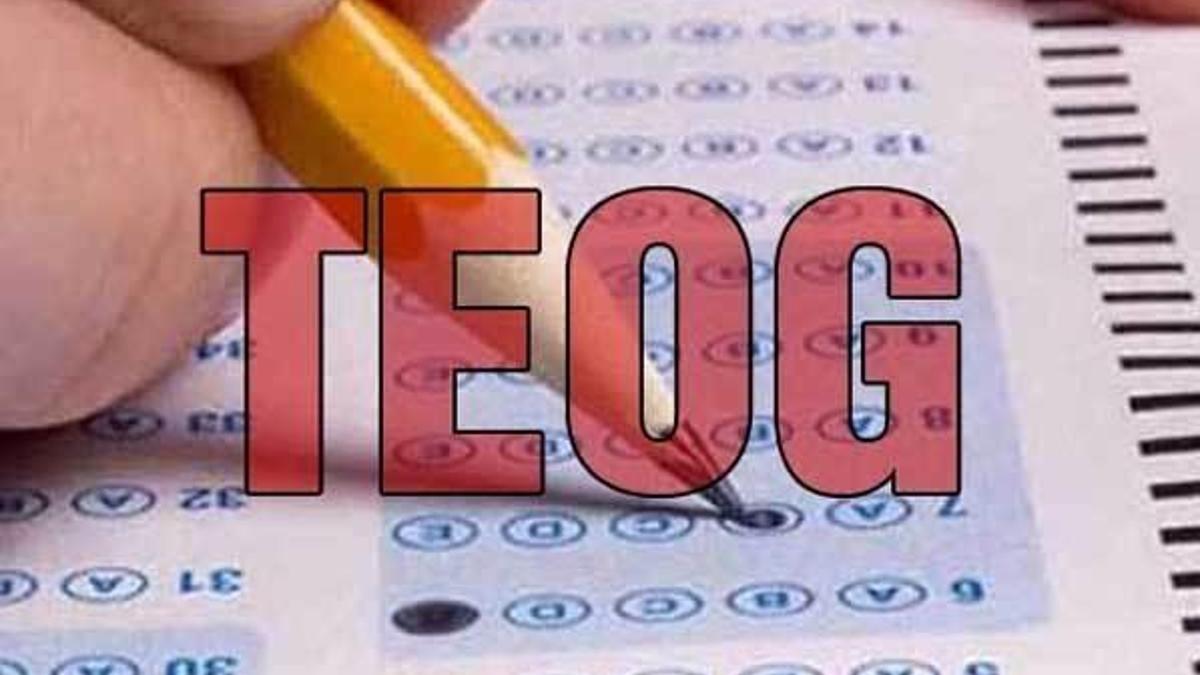 TEOG üçüncü nakil başvuruları başladı!