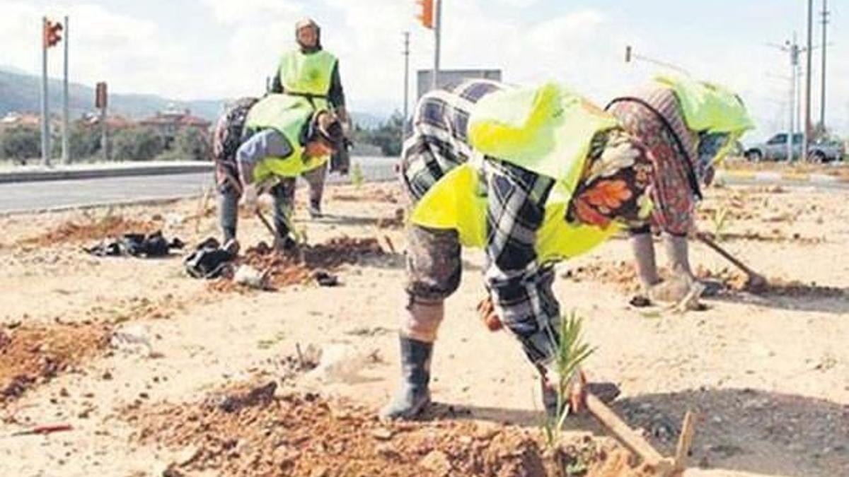 1 milyon kişi toplum yararına çalıştı