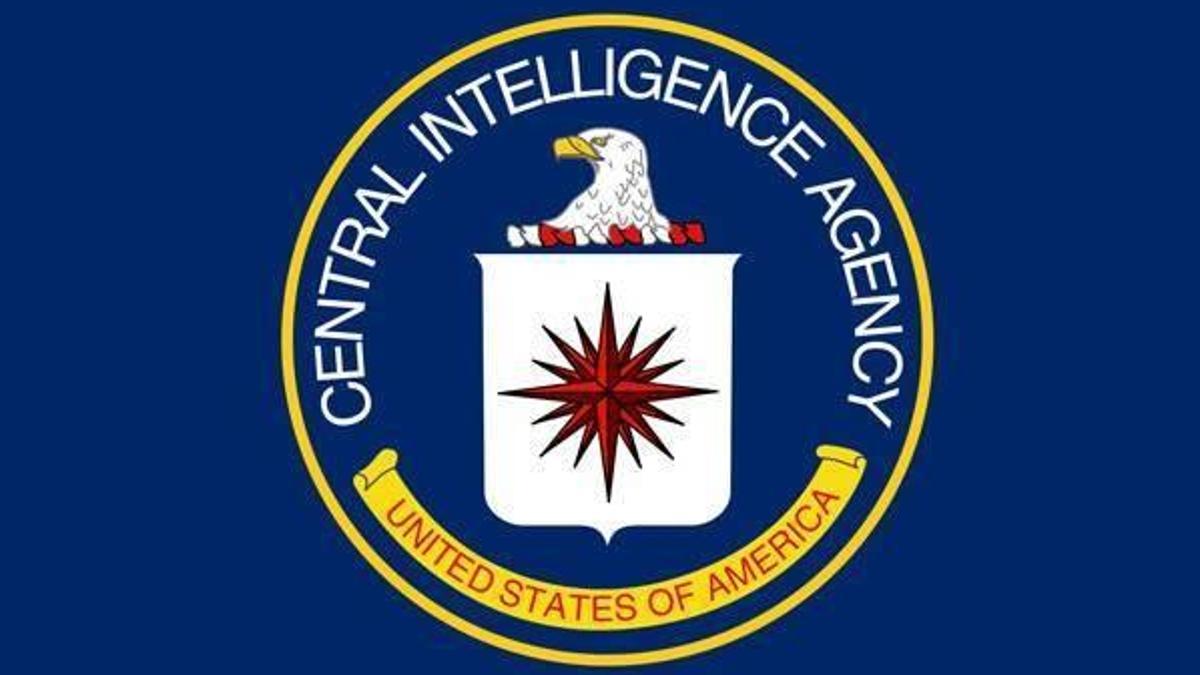 CIA eski başkan yardımcısı Türkiye'yi övdü