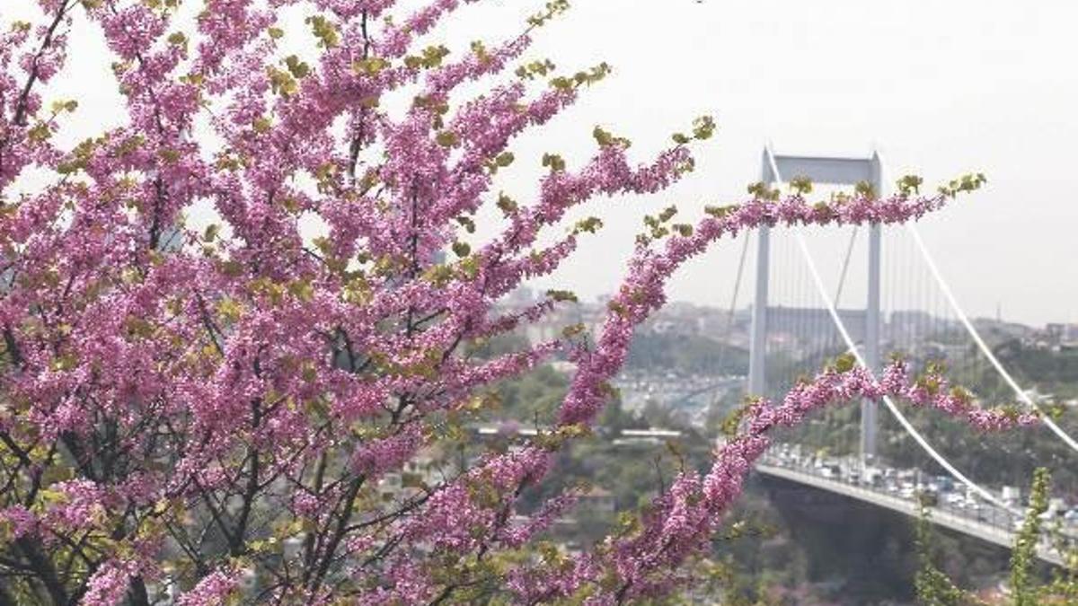 İstanbullular, bayramın son gününde boğaza akın etti