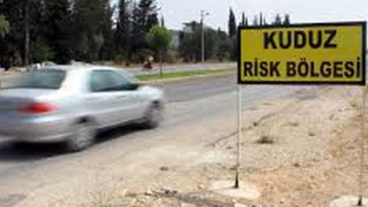 Osmaniye'de kuduz karantinası