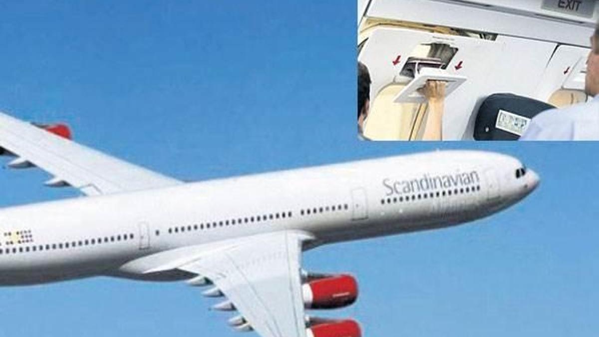 SAS uçağında yılan paniği