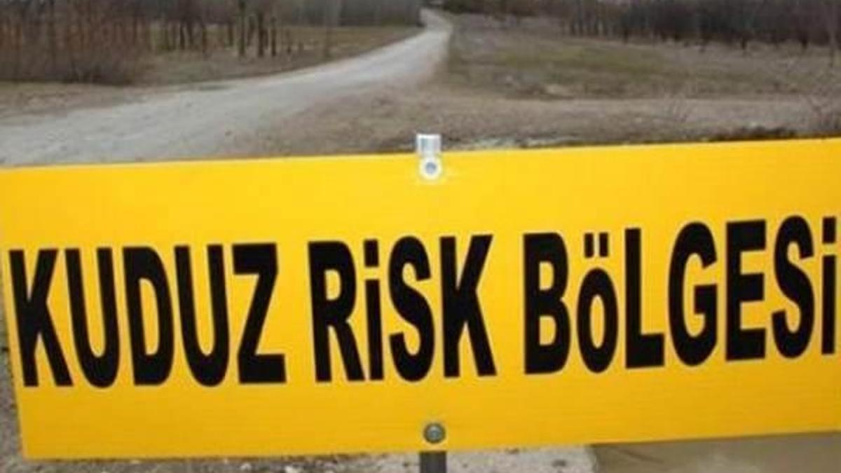 Osmaniye'de ikinci kuduz karantinası