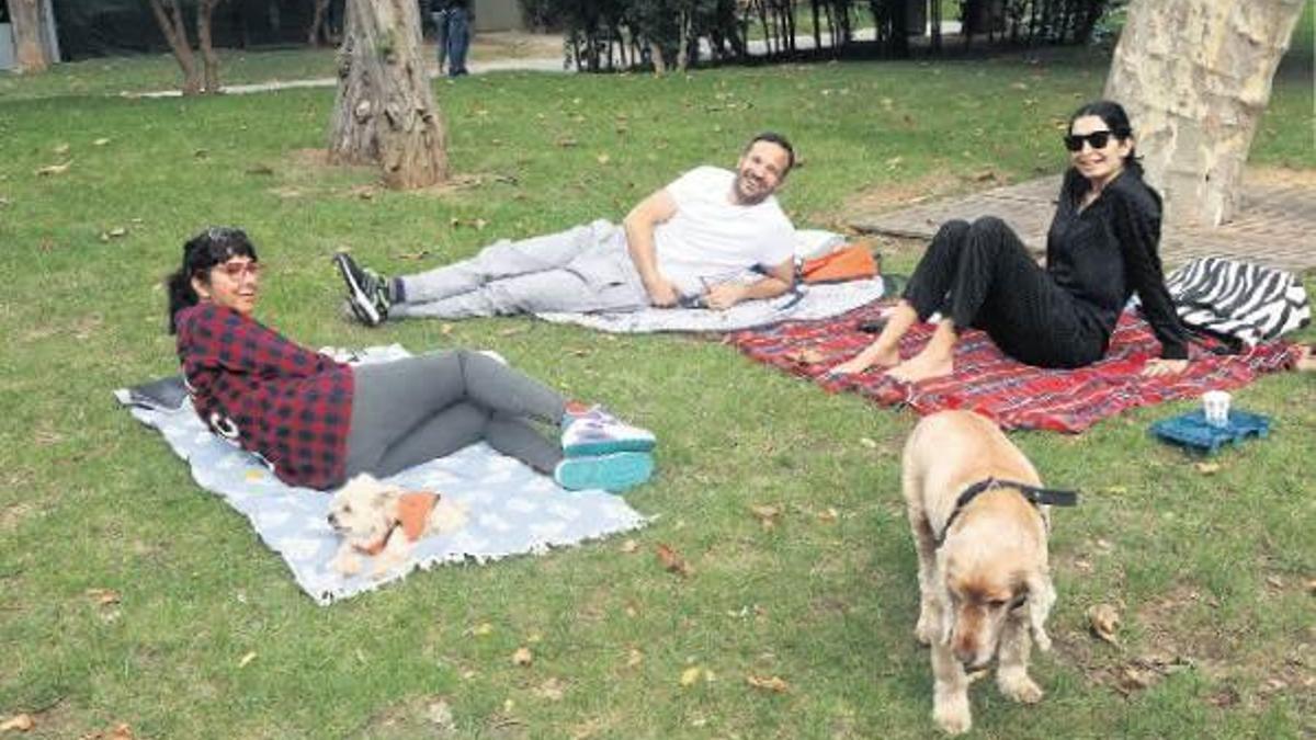 Yayılmışım çayıra