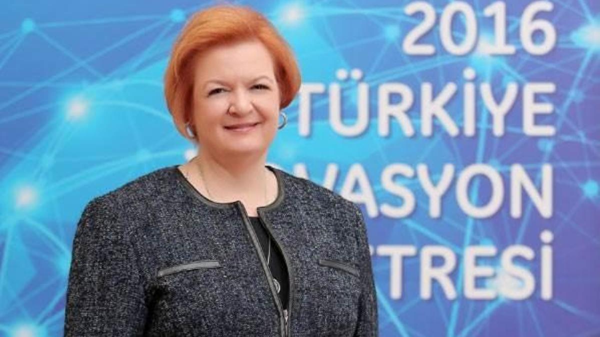 Türkiye'nin gücü 50 MW arttırılıyor