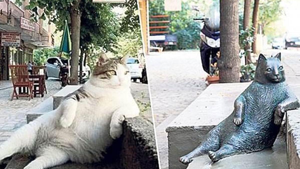 Tombili’nin heykeli yapıldı