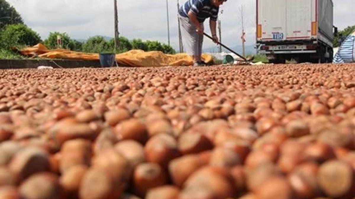Nutellanın üreticisi Türk fındığını savundu!