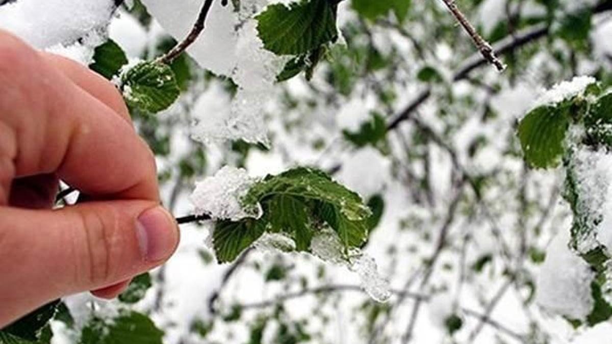 Meteoroloji'den zirai don uyarısı