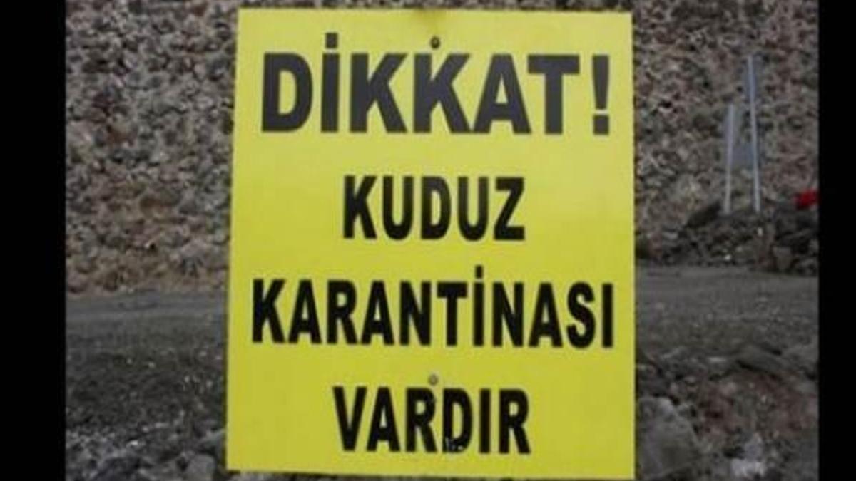 Afyonkarahisar'da kuduz karantinası