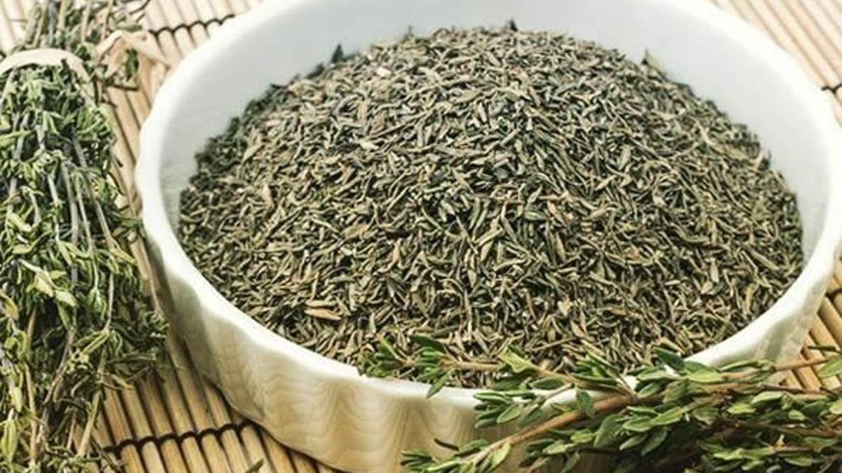 Kahramanmaraş'ta antibiyotik etkili kekik!