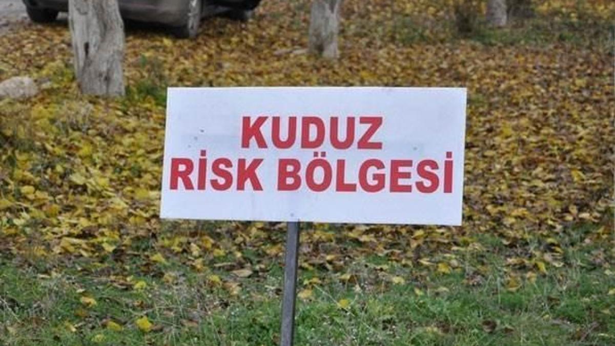 Mersin'de kuduz karantinası