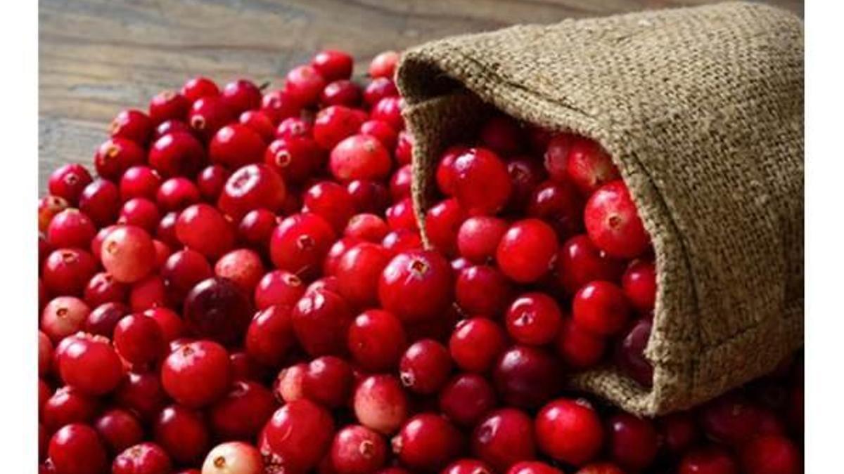 Cranberry (Turna Yemişi) 'ni Her Gün Tüketirseniz!