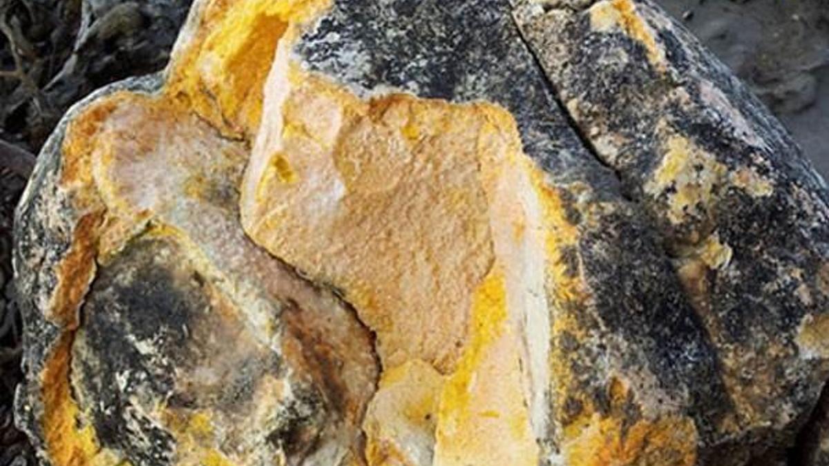 Milyonluk balina kusmuğu bulundu