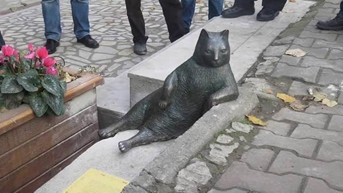Tombili'nin heykeli yerine konuldu