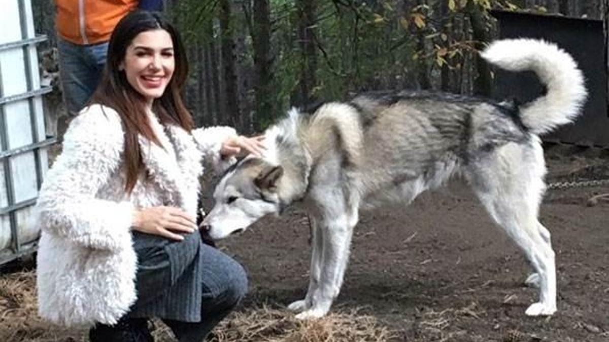 Amerikan dizisine Türk damgası!